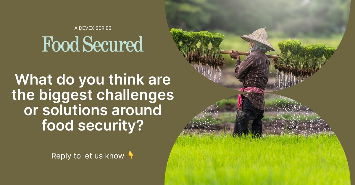 devex's tweet photo. We want to hear from you!

What do you think are the biggest challenges or solutions around #FoodSecurity? 🤔

#DevexSeries in partnership with @acfusa @bayer @SF4Nutrition @UNICEFUSA. Explore #FoodSecured at https://t.co/HydRTIc04h &amp; let us know by replying to this tweet 👇