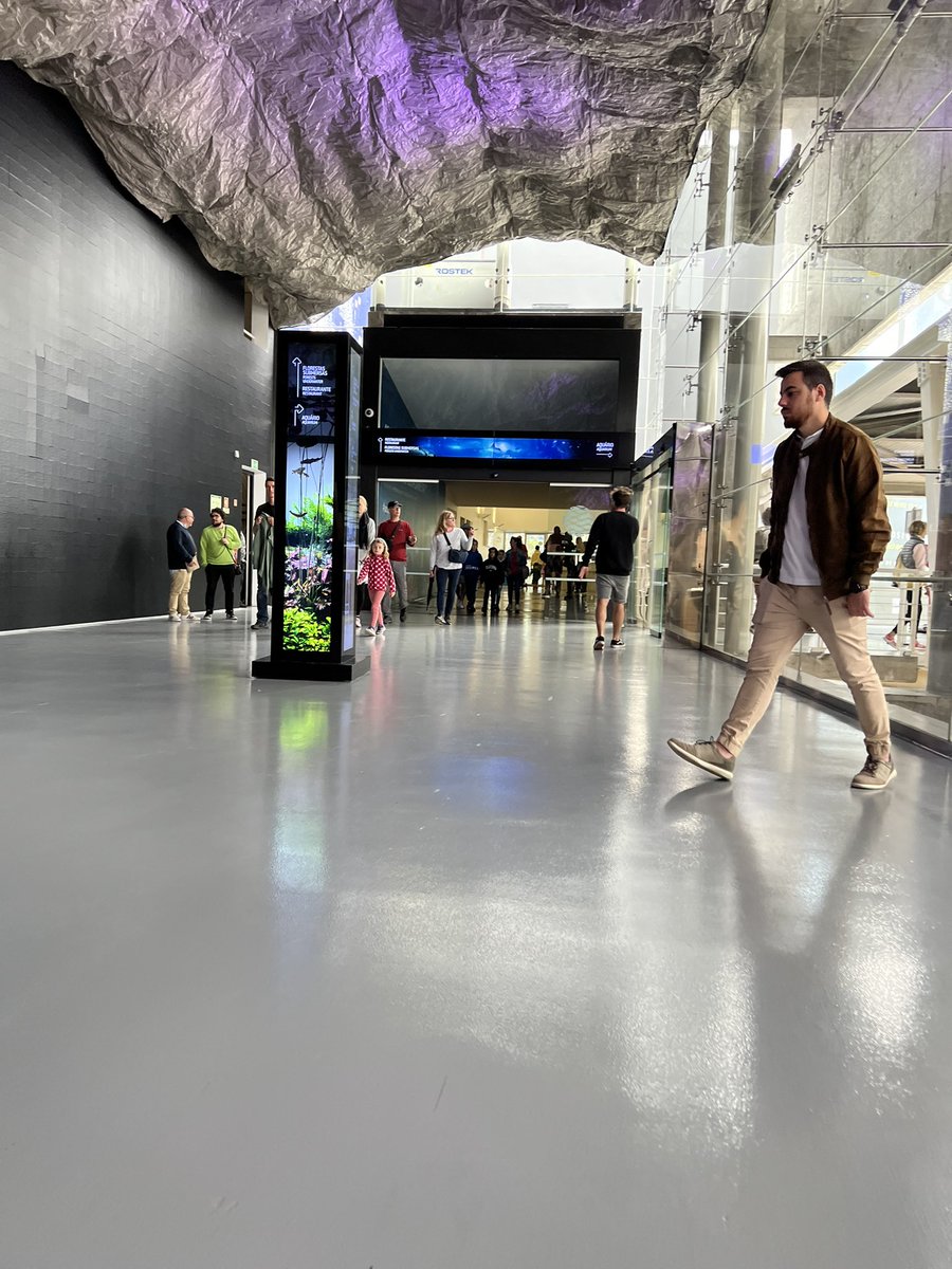FredMaahs's tweet photo. There’s so many things to do indoors on a rainy day in Portugal. This morning I had an amazing tour of #accessible #Oceanaria. Originally built for the ‘98 World Expo, some of the most interesting and endangered species are being saved and on display! @visitportugal https://t.co/94X1R5FFDd