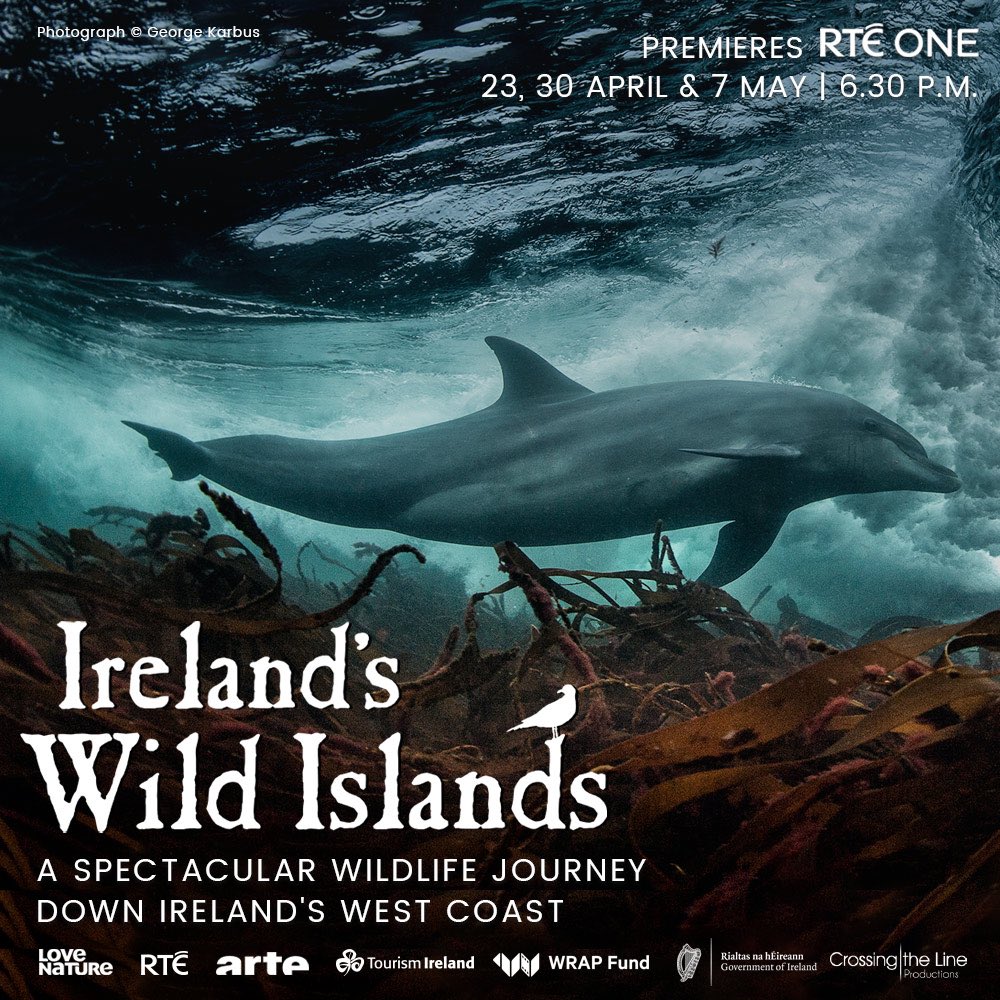 Delighted to bring this massive project home - a celebration of the wonderful wildlife on our magnificent Atlantic Islands & a plea for help to conserve it. Please spread the word & watch Sunday 6.30 @RTEOne.Huge thanks to all the wonderful people who helped along the way!