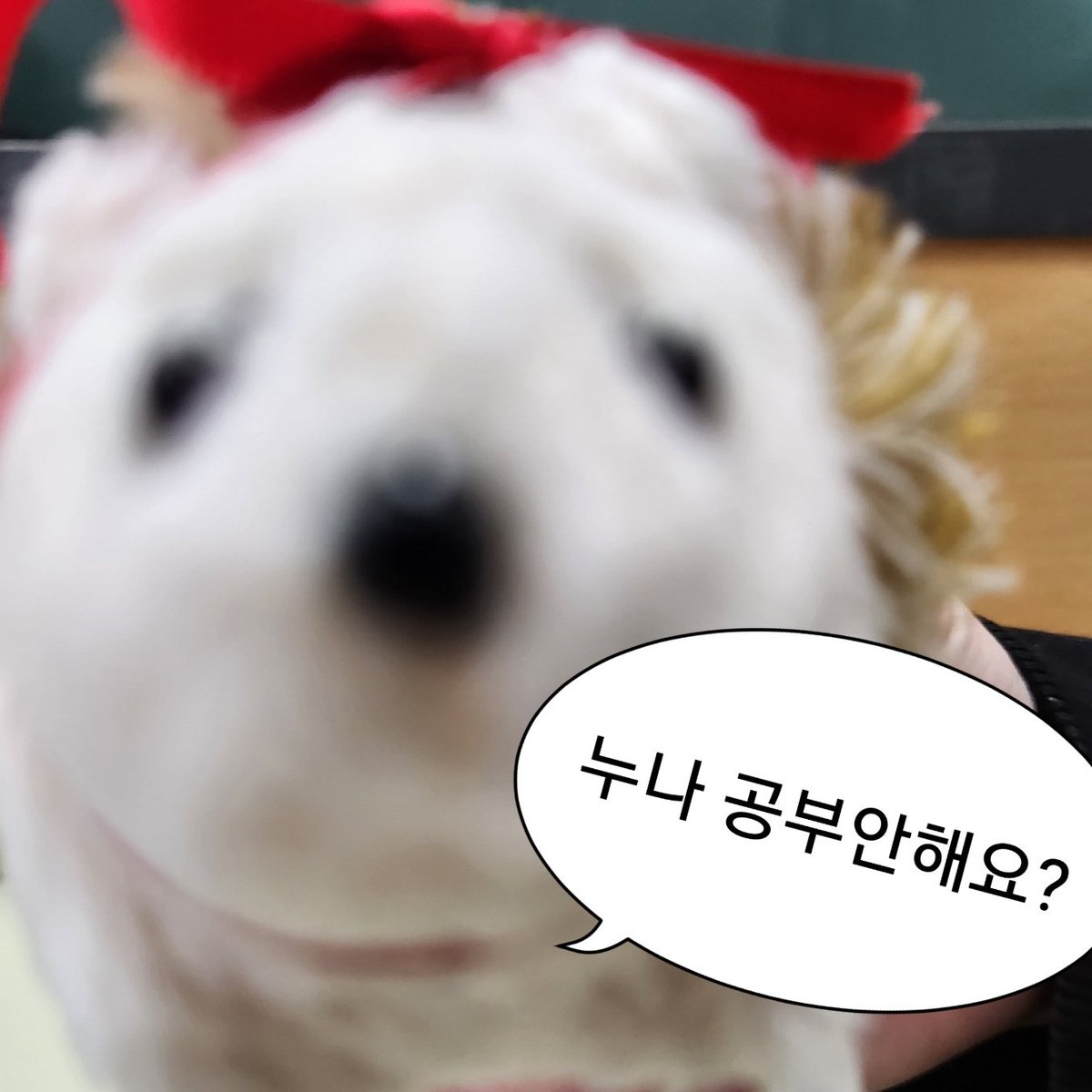 <a href="/ppyosuk/">뾰서기 🦔</a> #행복한세상의뾰서기 뾰서기와 함께한 현석이 생일 기념 짤 공유합니다👍
짱도치 현석이 생일 너무너무 축하해💜🔥