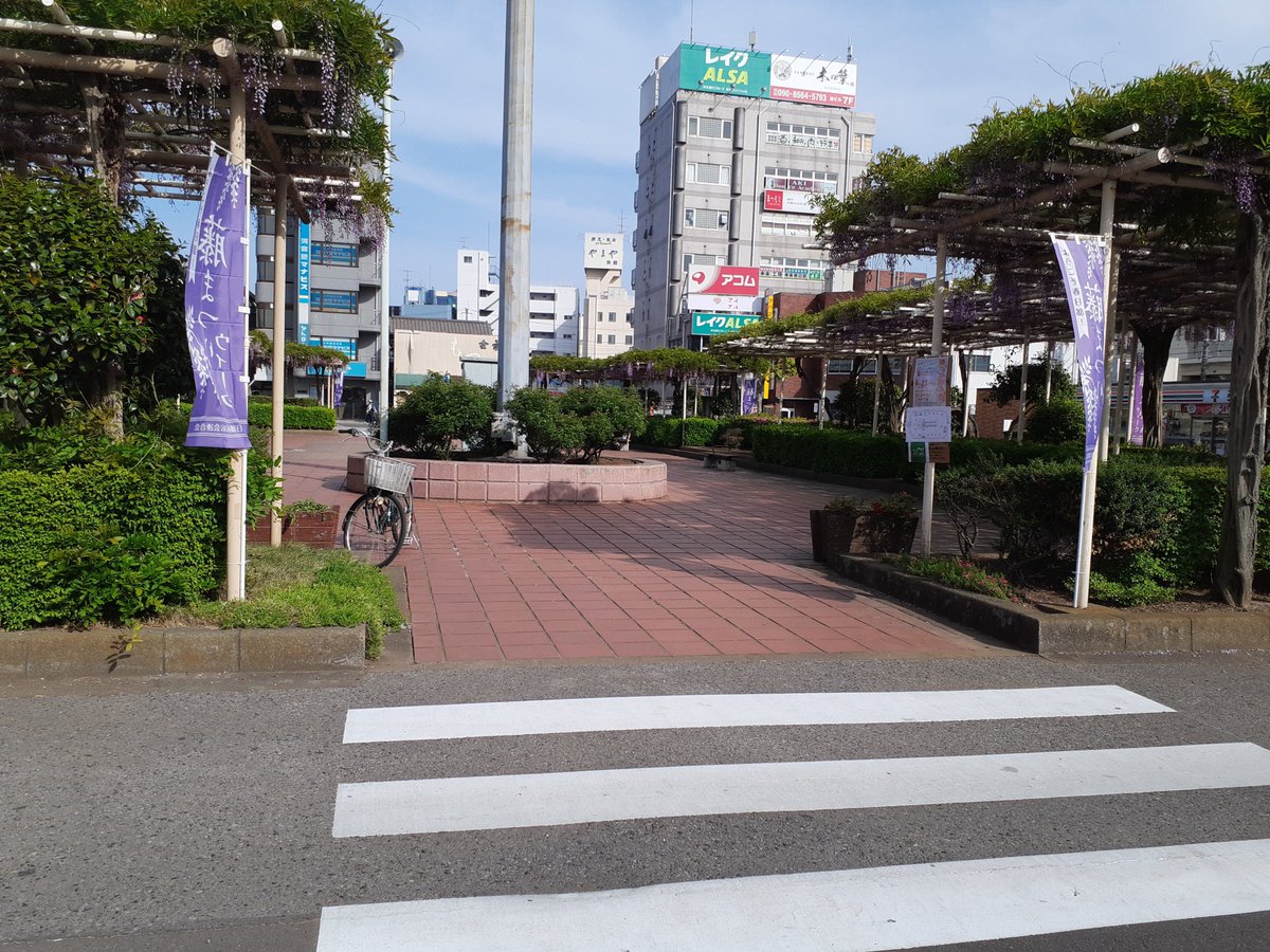 SuiOff's tweet image. 藤テラスの次は
藤まつり(*^-^)
今日は、予告編？を付けに行って来ました！