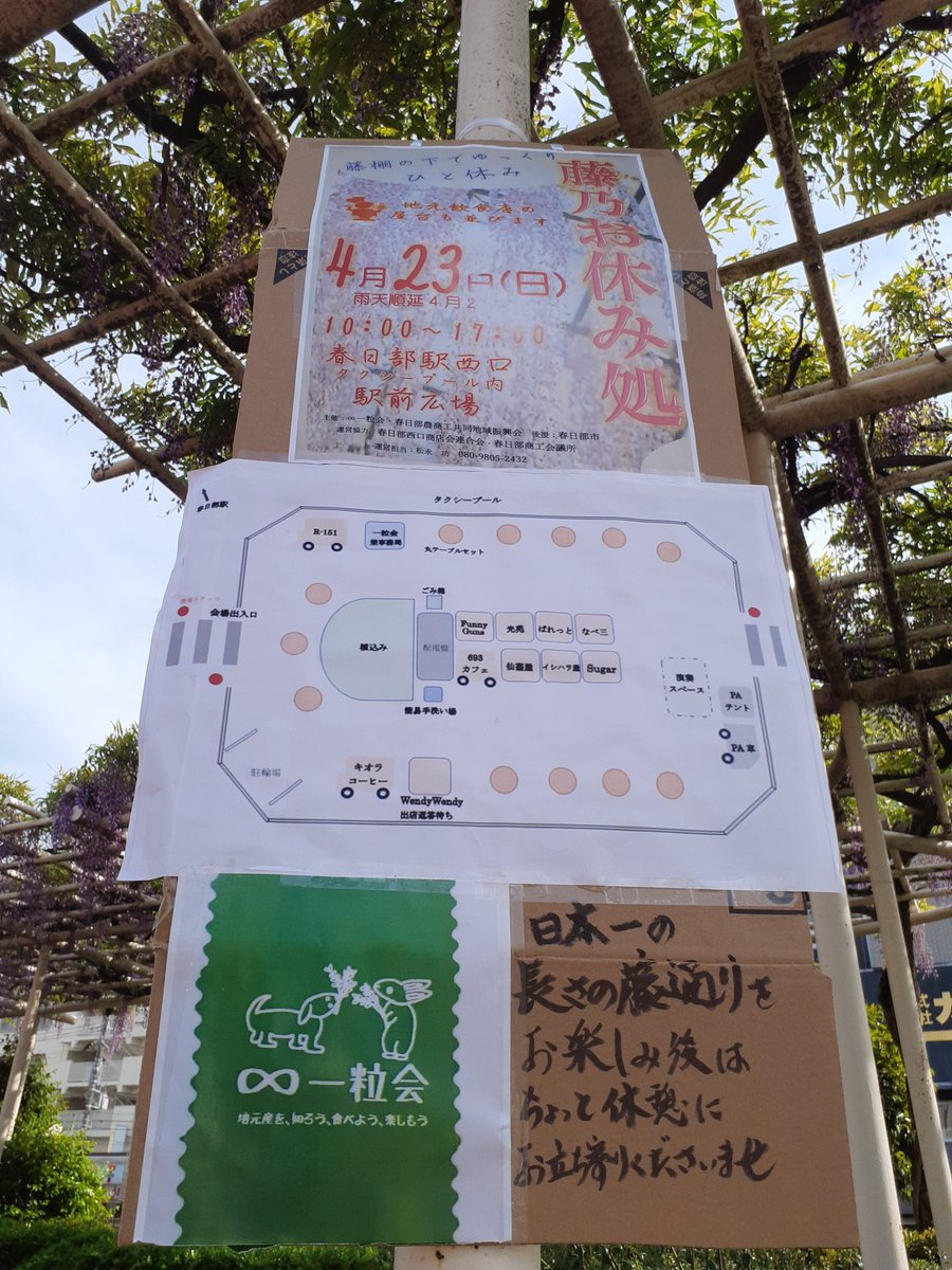 SuiOff's tweet image. 藤テラスの次は
藤まつり(*^-^)
今日は、予告編？を付けに行って来ました！