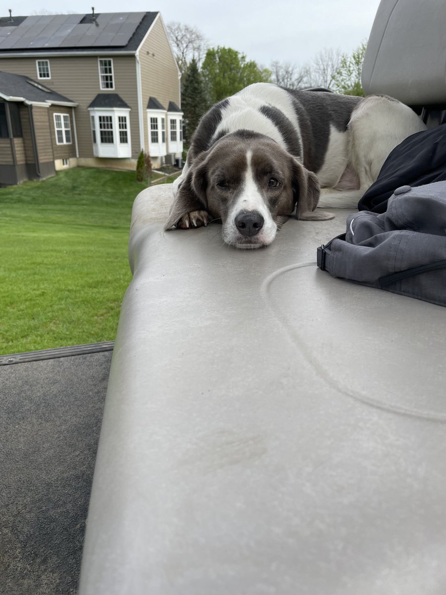 Long week, got puppers like…⁦<a href="/DogsOfTurf/">Dogs Of Turf</a>⁩
#TGIF