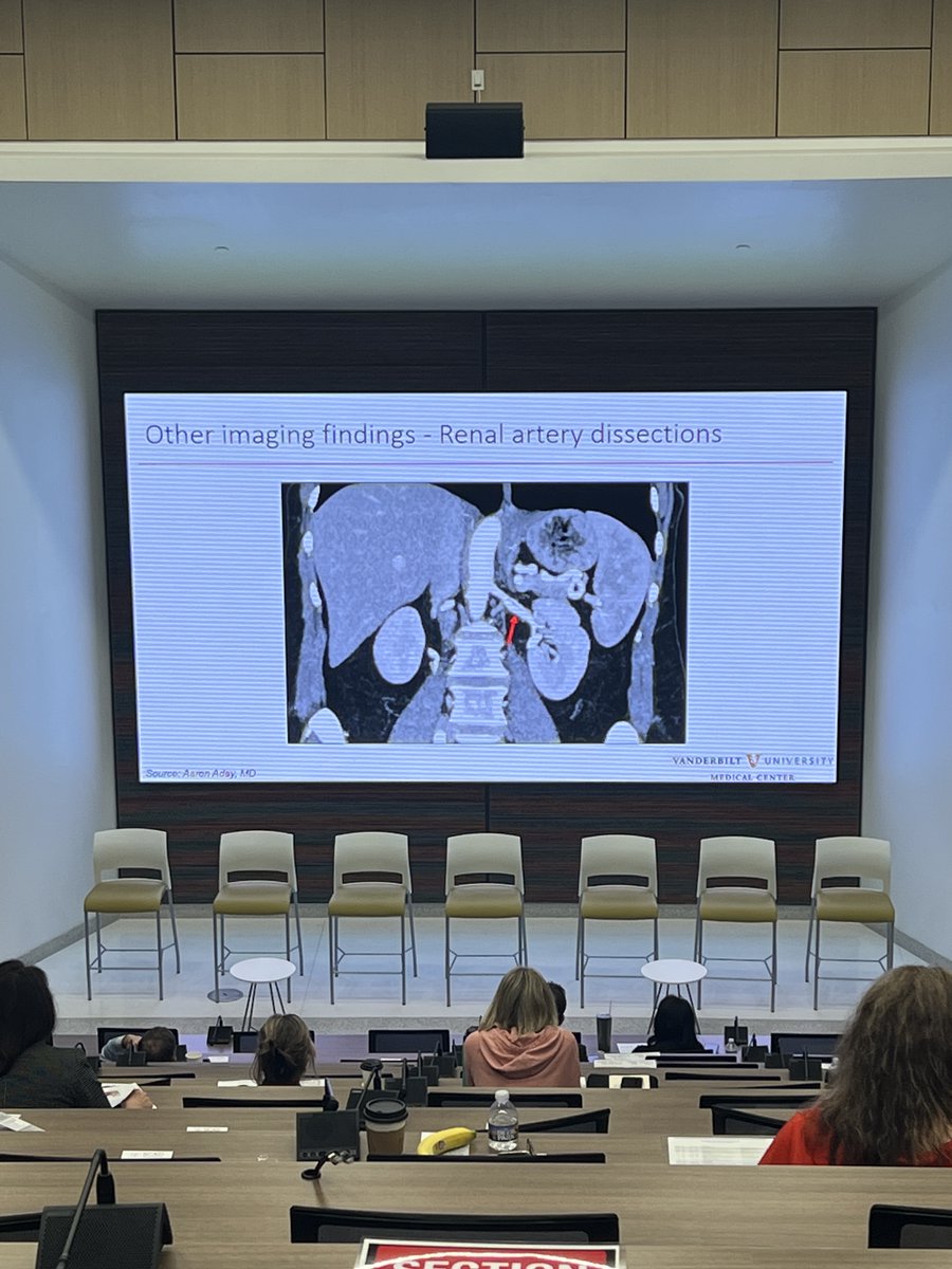 AtriumSHVI's tweet photo. @AaronAdayMD -cardiologist and vascular medicine specialist at @VUMC_Medicine speaking on #SCAD and Arteriopathies - looking at arterial imaging and genetic testing. #SCADheart #SCAD #SangerSCAD
@SCADalliance @EstherSHKimMD https://t.co/OEpuXAXARF