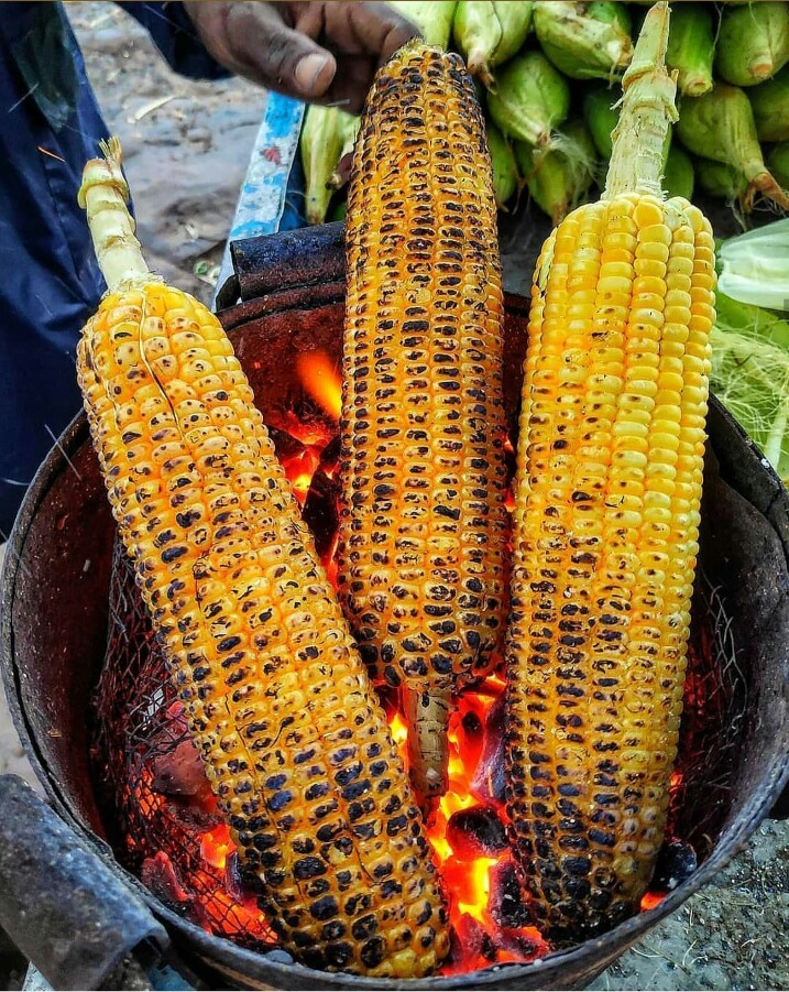 street food in indore