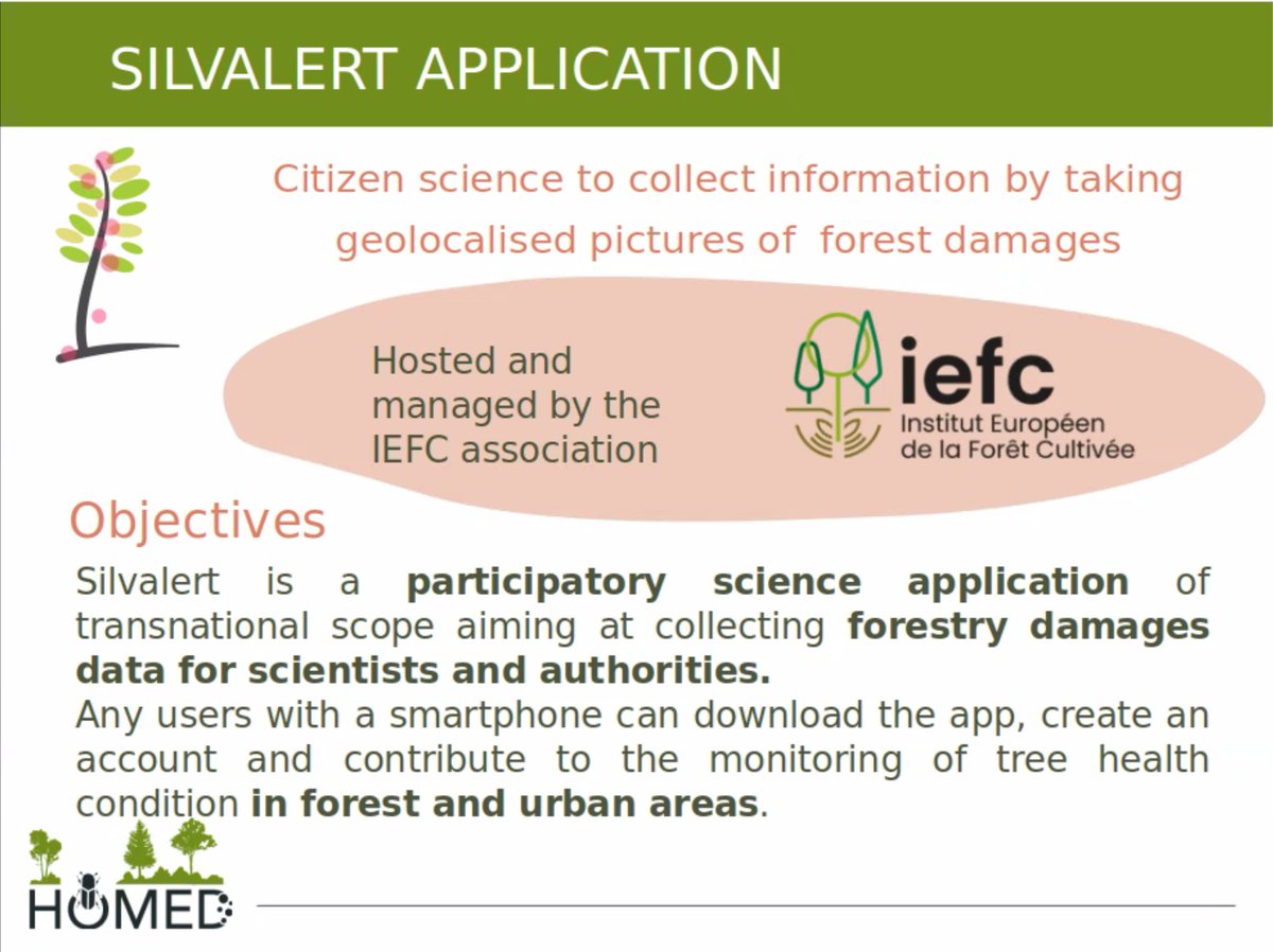 🔔[Let’s Talk About Planted Forests - Webinar] 

🎙️Christophe Orazio <a href="/IEFCPlantForest/">Institut Européen de la Forêt Cultivée</a>  is introducing Silvalert. A website and a phone app that aims at collecting information about damages observed in forest.

#webinar #forests #online #silvalert <a href="/ProjectHOMED/">HOMED</a>