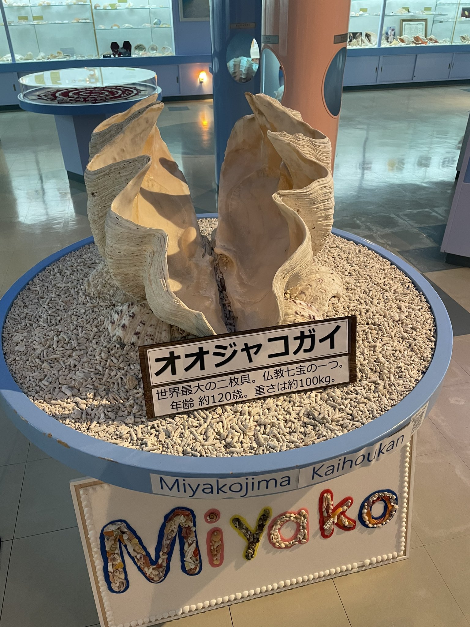 25周年アニバーサリー - Search / X