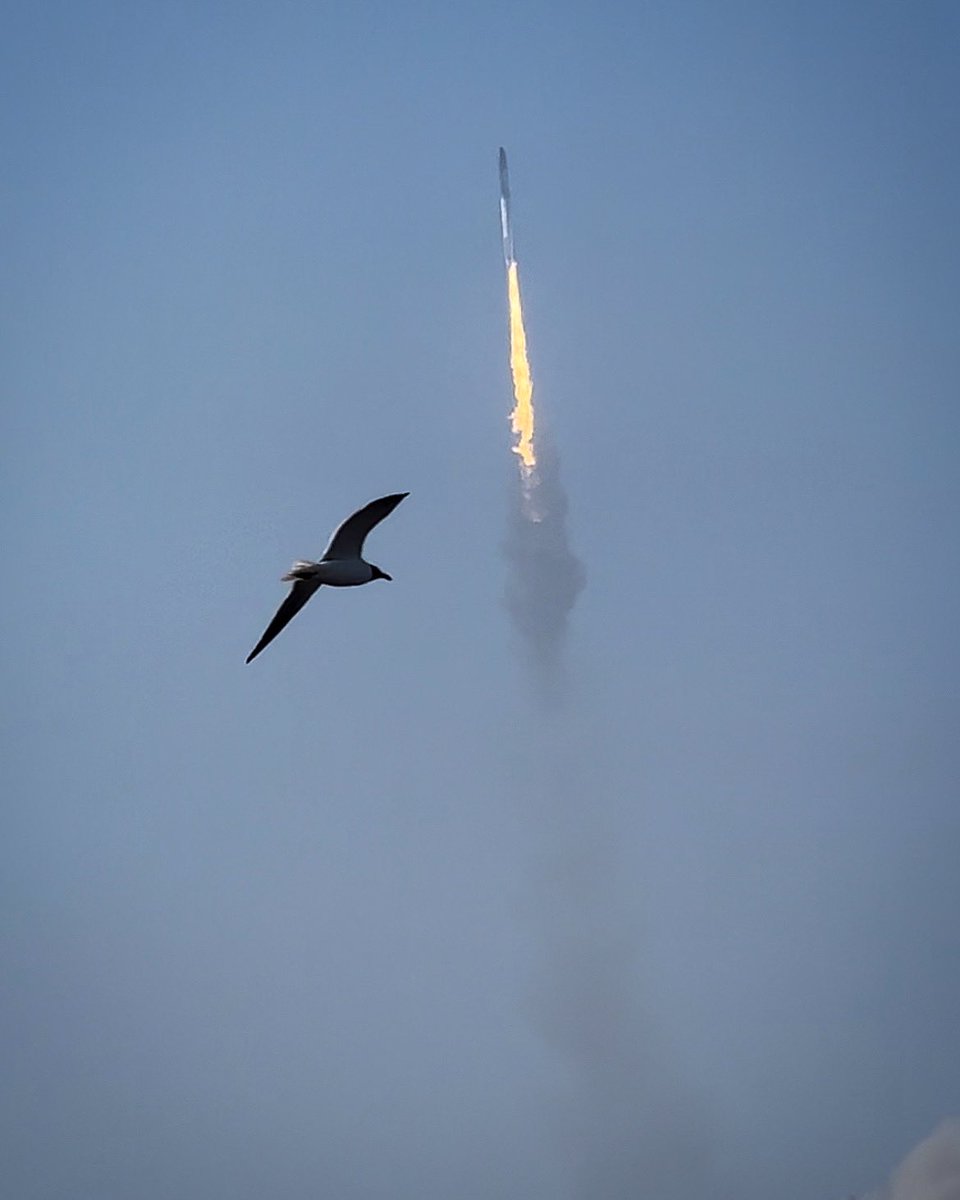 Two birds in the sky. #spacex #starship #CNN