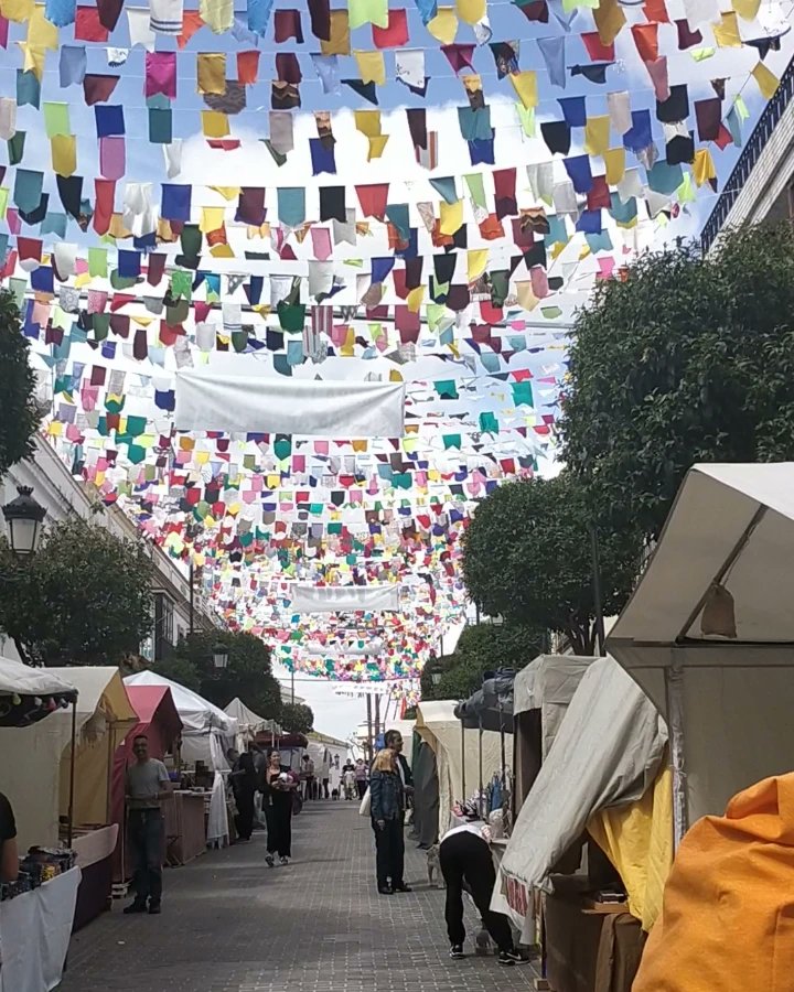 Trebufestival's tweet photo. El #Trebufestival2033 ¡YA! EMPIEZA #Festivales #Trebujena #Andalucia #Musica #Trebufest https://t.co/fK86RTohIB