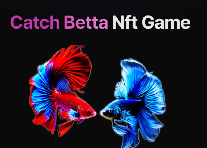 Savingnftmarket's tweet photo. *Retweet this tweet
*Copy the link of your retweet in the comments
*Copy your public address of expansion

You will be participating to win one of the 5 red Betta nft or one of the 5 blue Betta nft seen in the image.

- For this to take effect we must reach at least 20 retweets https://t.co/yzPFVXDXmy