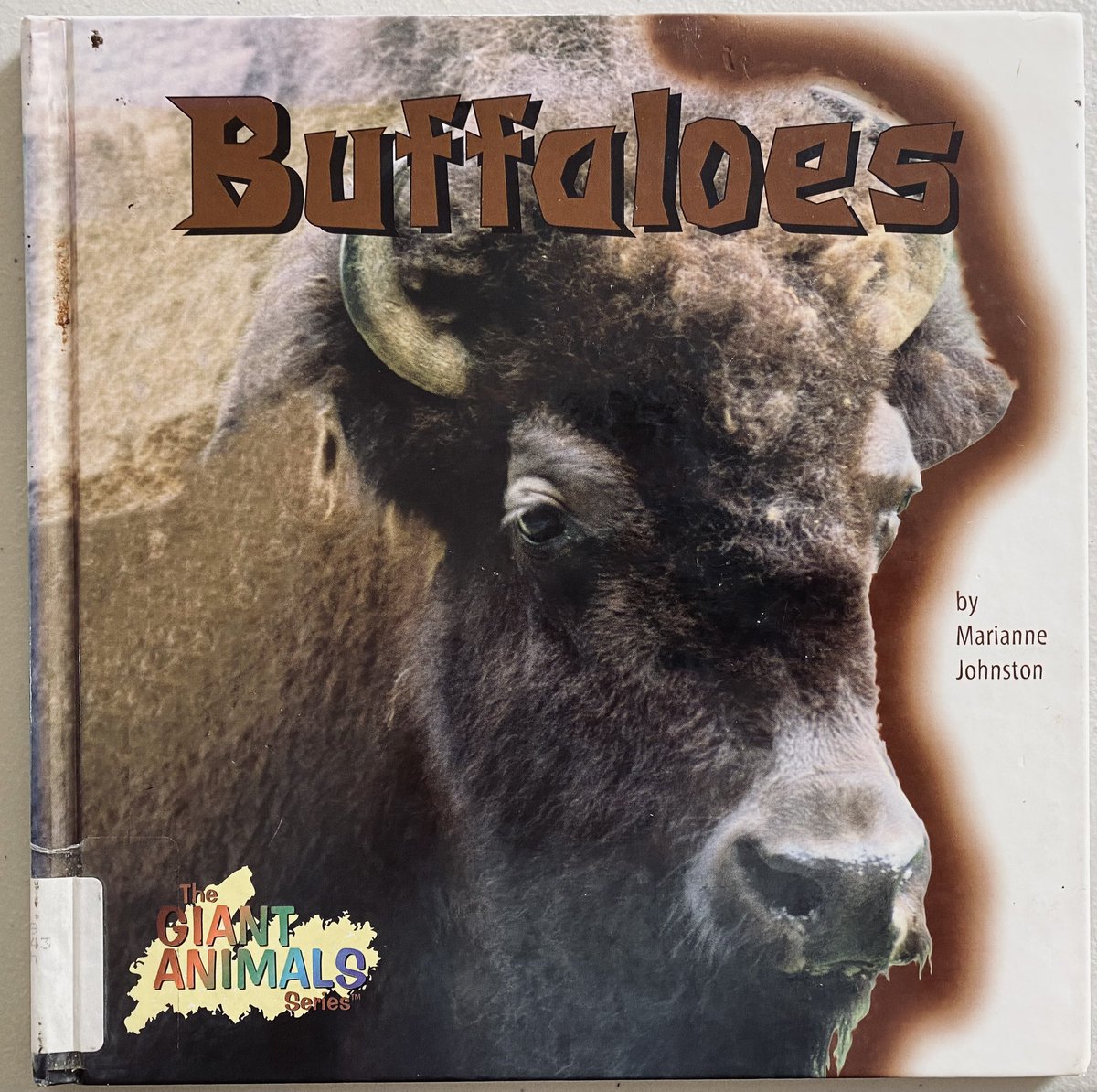 lorwayk's tweet photo. Our interactive timeline got some new friends! The students each made a Buffalo to add to our Turtle Island table and did such a great job! Can you find the bearded male buffalos? 
@FelixMarchandEC @SRCE_NS #FNIM #inquirybasedlearning #grade2 #grade3 https://t.co/dJoSlwcGUy