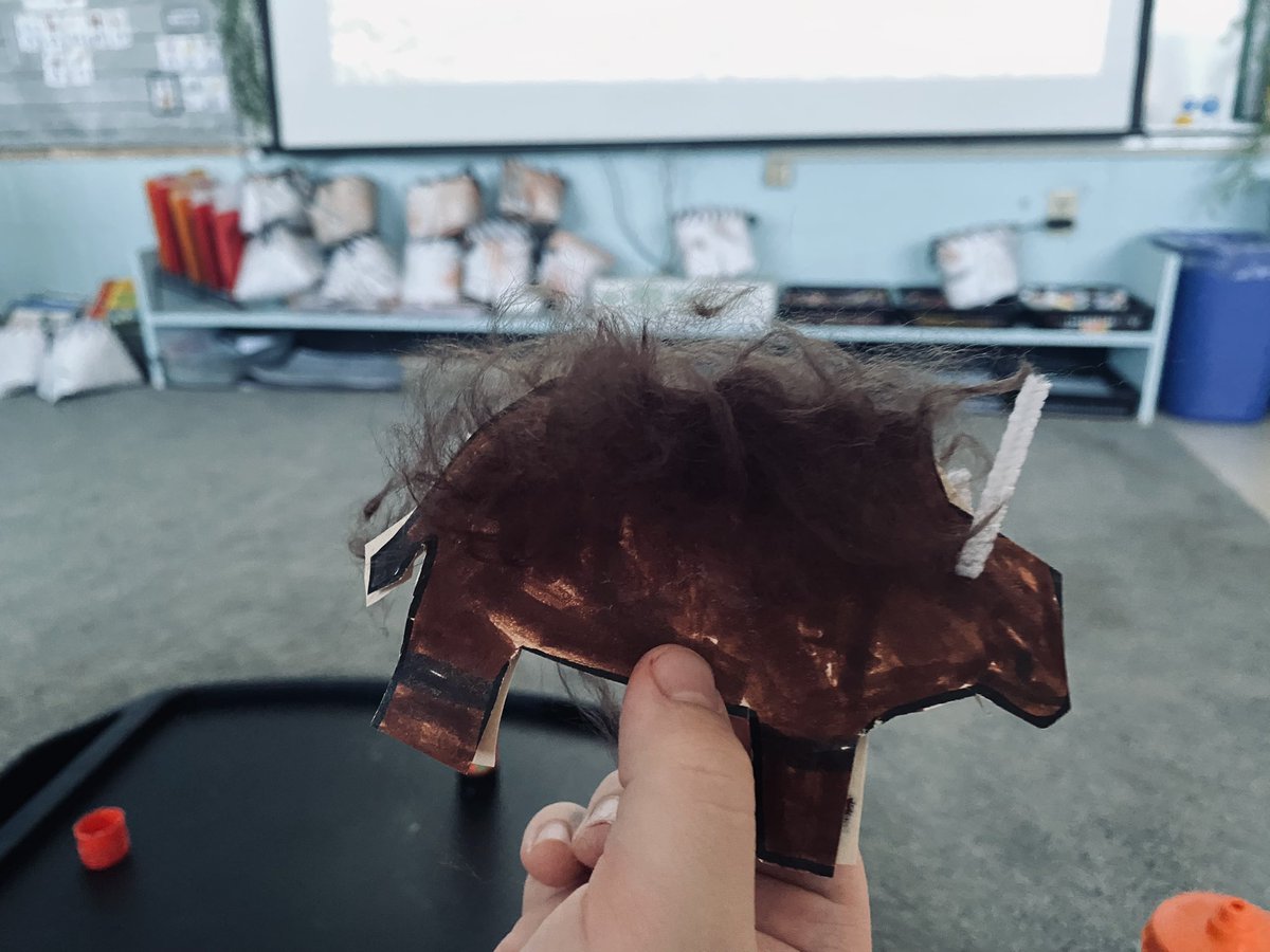 lorwayk's tweet photo. Our interactive timeline got some new friends! The students each made a Buffalo to add to our Turtle Island table and did such a great job! Can you find the bearded male buffalos? 
@FelixMarchandEC @SRCE_NS #FNIM #inquirybasedlearning #grade2 #grade3 https://t.co/dJoSlwcGUy