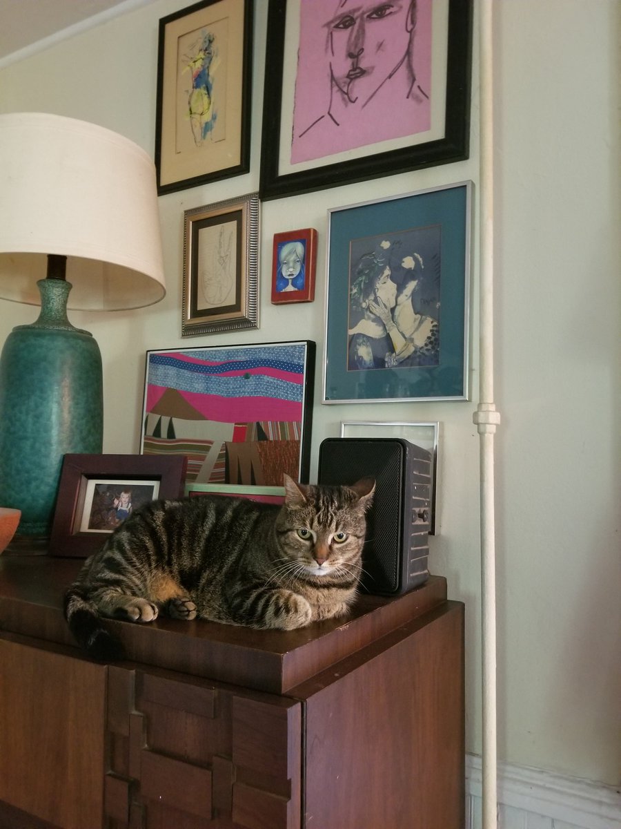 aztammyp's tweet photo. Early Friday morning #RecordParty. This goofy cat cozies right up to the speaker when MS John is on.
She's not wrong. https://t.co/7qvKyIAwn8