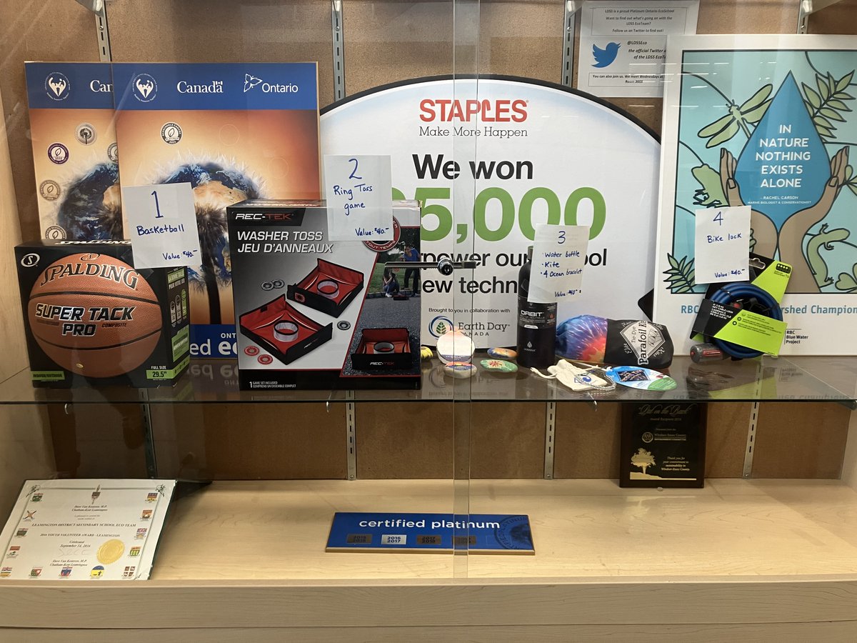 EcoTeam tweet media