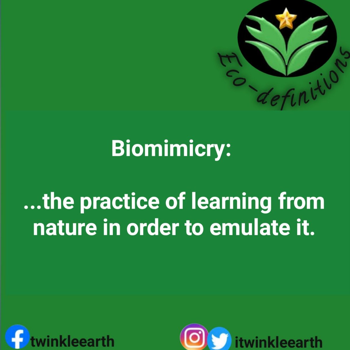 itwinkleearth's tweet photo. Why learn from Nature?

Nature has consistently supported life for millions of years without depleting the Environment.

Nature holds exceptional knowledge on how to sustain life on Earth.

#natureteaches 
#ecoknowledge 
#ecodefine 
#biomimicry https://t.co/EvO662amqM