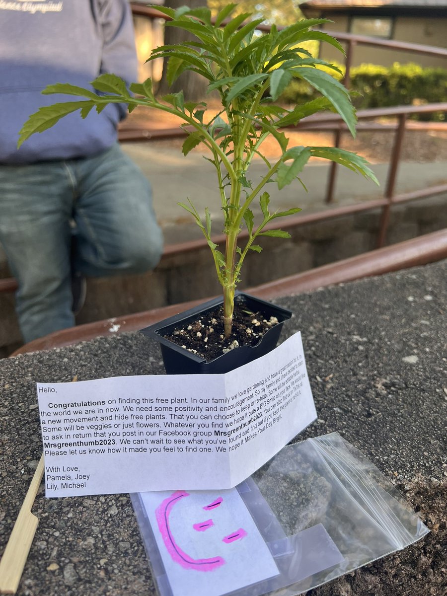 PWMSSciOly's tweet photo. Our @ParkwoodMSNC @NCSciOlympiad team is on the way to the state tournament and came across a free plant! He’s going to be our mascot for the opening ceremony and we have decided to name him “Pete”! https://t.co/h7WRyTj730
