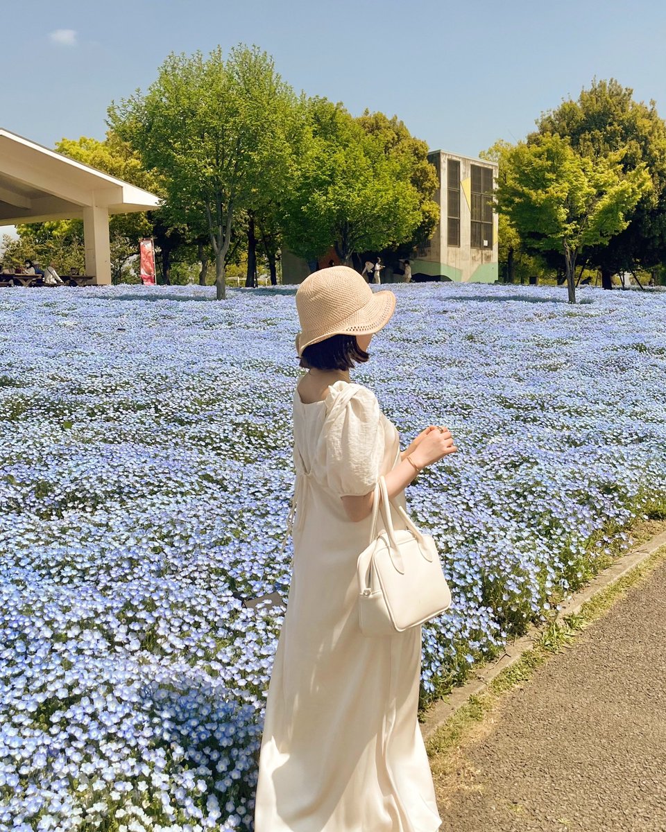168_cherry2's tweet photo. 舎人公園のネモフィラ畑
入場無料でこんなに綺麗なの凄い✨♡

 #ネモフィラ  #ネモフィラ畑 
 #舎人公園   #麦わら帽子    #白ワンピース
 #ワンピースコーデ  #麦わら帽子コーデ https://t.co/mYRHYya07m