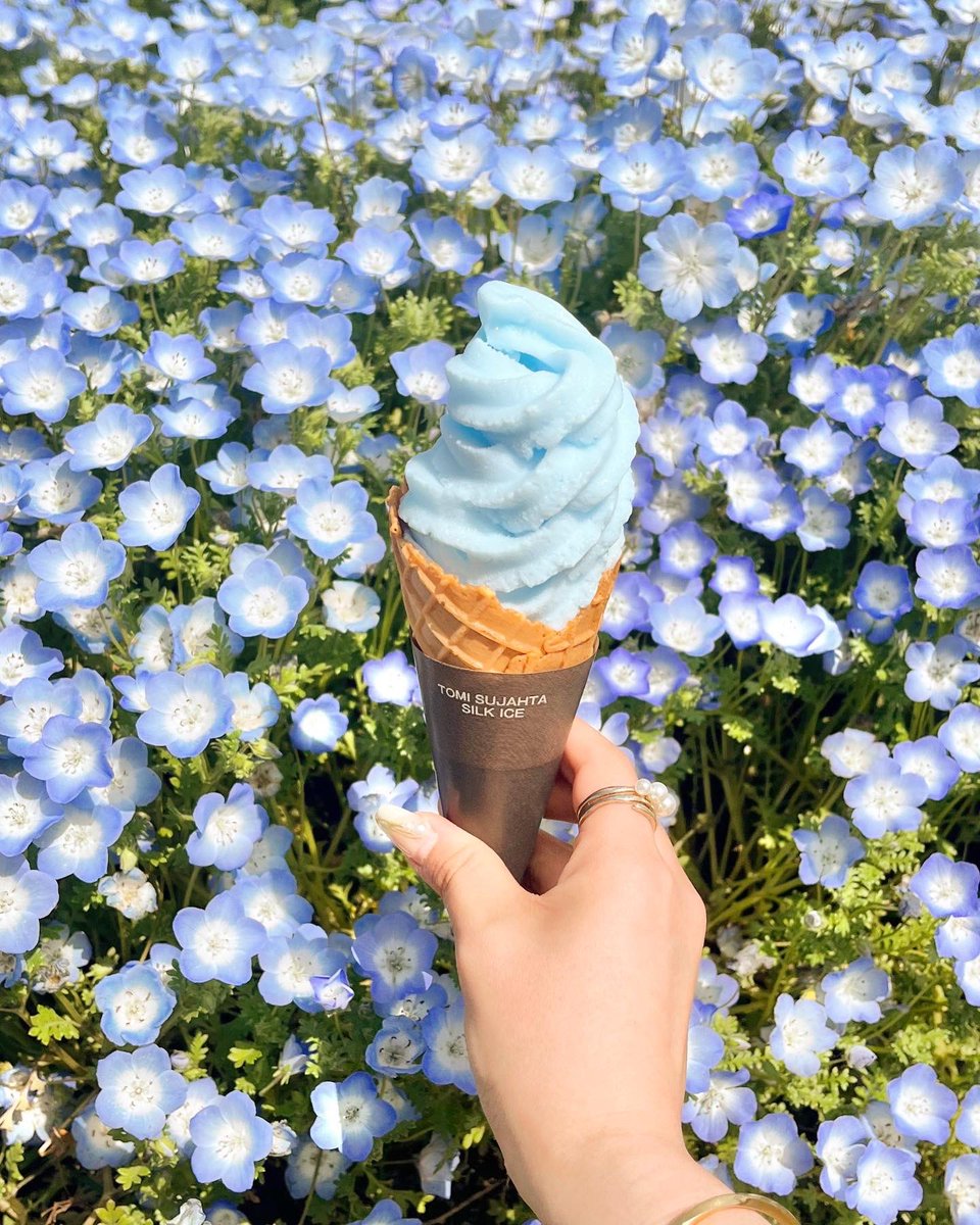 168_cherry2's tweet photo. 舎人公園のネモフィラ畑
入場無料でこんなに綺麗なの凄い✨♡

 #ネモフィラ  #ネモフィラ畑 
 #舎人公園   #麦わら帽子    #白ワンピース
 #ワンピースコーデ  #麦わら帽子コーデ https://t.co/mYRHYya07m