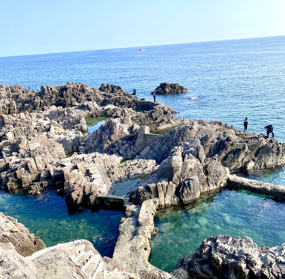 Supreme4885's tweet photo. 물질하고싶은날….🌊🏄‍♀️🏄🏄‍♂️ #울산 #물질 #해루질 https://t.co/XB5rU07f6t