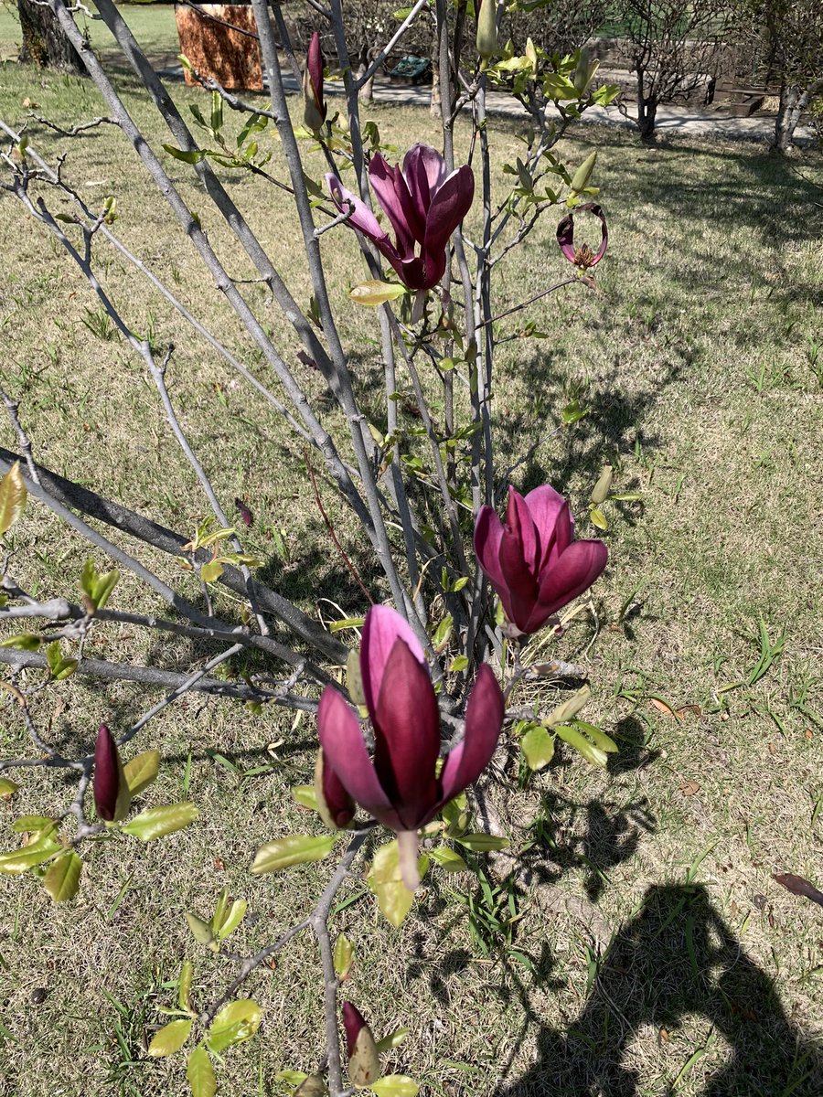 Gacci@Amiliyah🍙 tweet media