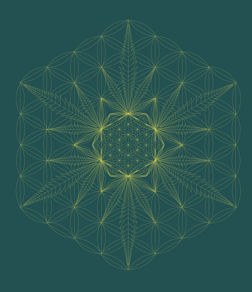 k2raw55's tweet photo. HEMP OF LIFE https://t.co/4NMFmG2uXL