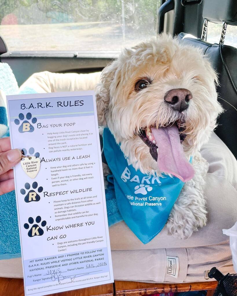 mgmros's tweet photo. Jaws: Jaws enjoyed visiting Little River Canyon National Preserve. People were so nice, dogs were even allowed in the @littlerivercanyoncenter! Of course, he became an official BARK Ranger there as well. https://t.co/wwI5nrCI2Y https://t.co/rYWjH5pIO5