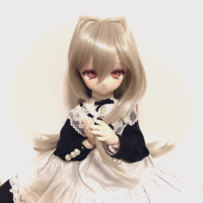 おーーーい!!!!ローゼンメイデンとかちょびっツとかに憧れていたウン十年前の私!!!現在の私が!!!!ボーナスの力を!!!使って!!!!君の夢を叶えたよ!!!!!!!!!褒めて!!!!ウン十年前の私!!もっと褒めて!!!! #わにわっ娘 