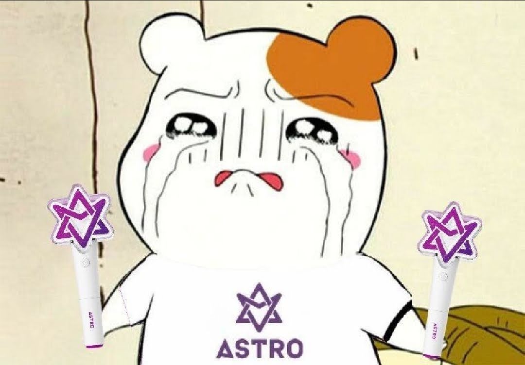 Aeka79's tweet photo. ขอให้ดาวดวงนี้เป็นดาวที่สว่างและสดใสที่สุดอยู่บนนั้นนะครับบินนี่🕊️🤍
#RIPMoonbin 
#มุนบิน https://t.co/qVOqtOiwsv