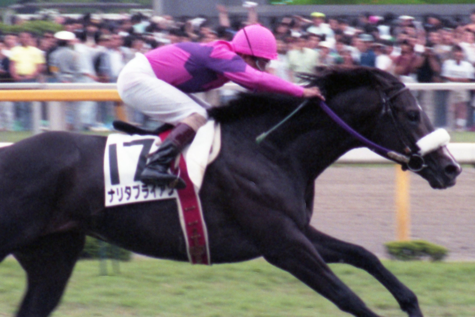 JRA-VAN公式 on X: 