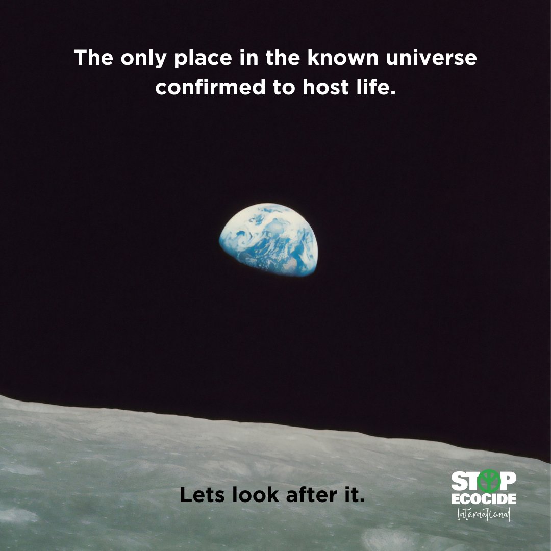 Stop Ecocide International tweet media