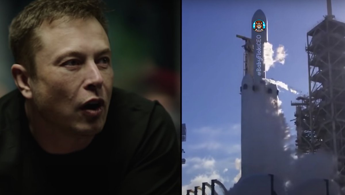 Baby Floki Ceo #BabyFlokiCEO🐕🚀 (@BabyFlokiCeoo) / Posts / X