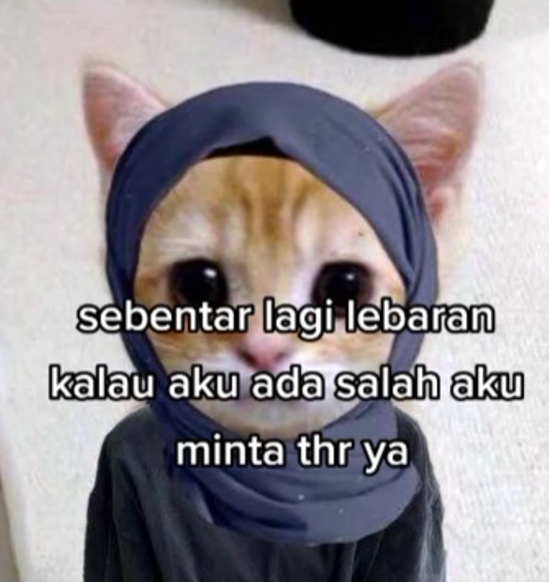 noyaa tweet media