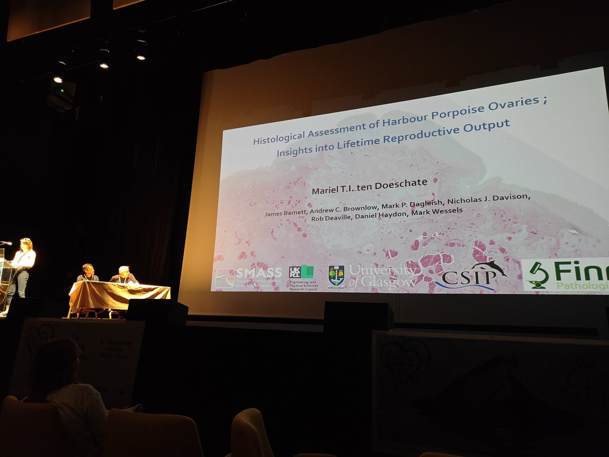 Mar_tDoeschate's tweet image. Absolutely fab time catching up with some of my absolute favourite humans ♥️ Discussing new projects and presenting preliminary findings of Ch1 of my @EPSRC funded #strandings research and #ovaries adventure at the #ECSconference2023 - see you next year!