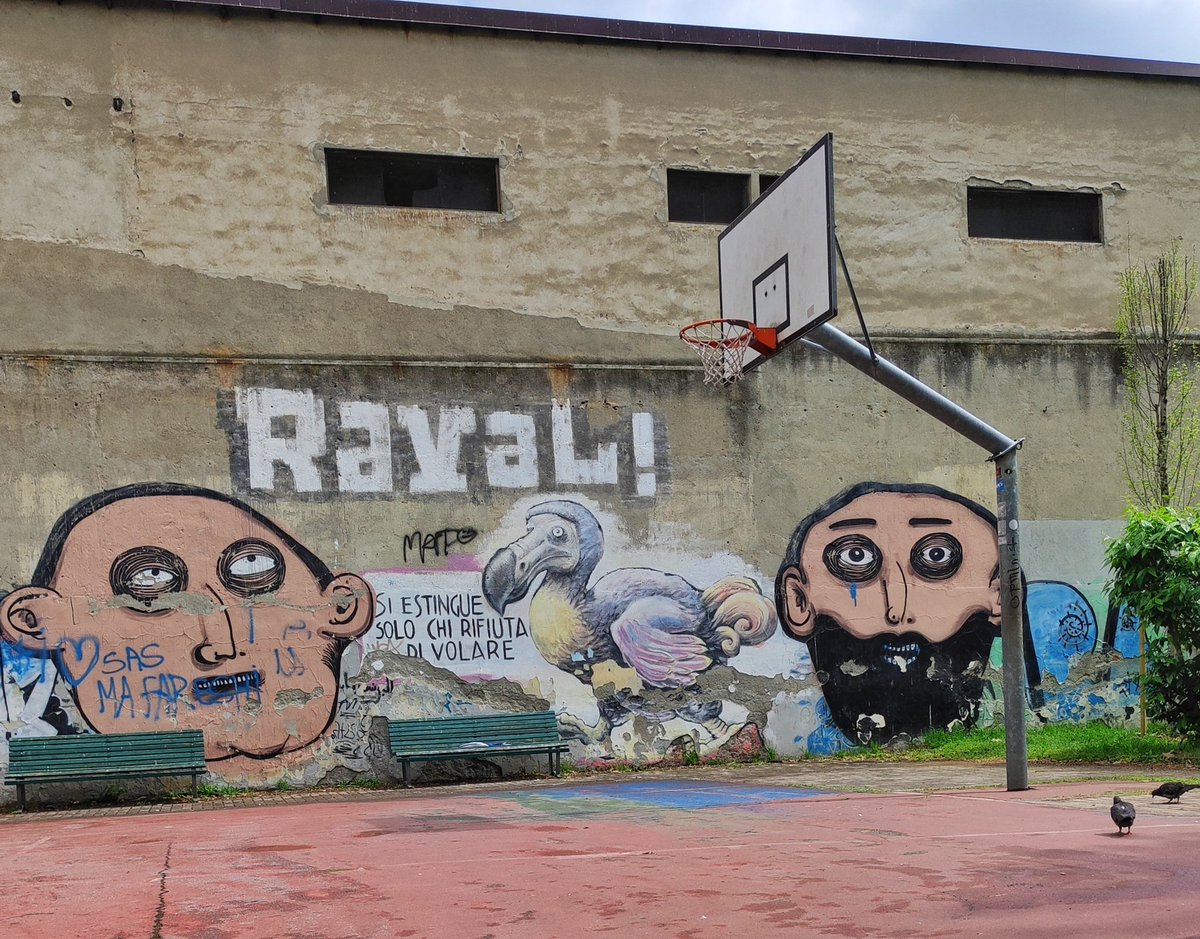 Si estingue solo chi rifiuta di volare 

#milano #streetart #urban #art #DODO