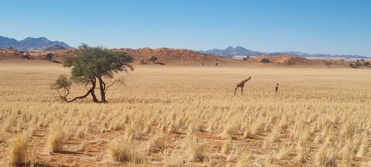 Namibia is the place to be!