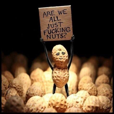 Pictureisworth1's tweet image. This one made me laugh out loud. 
#dudewithsign #cardboardsign #FridayFun #humor #fridaymorning #laughteristhebestmedicine