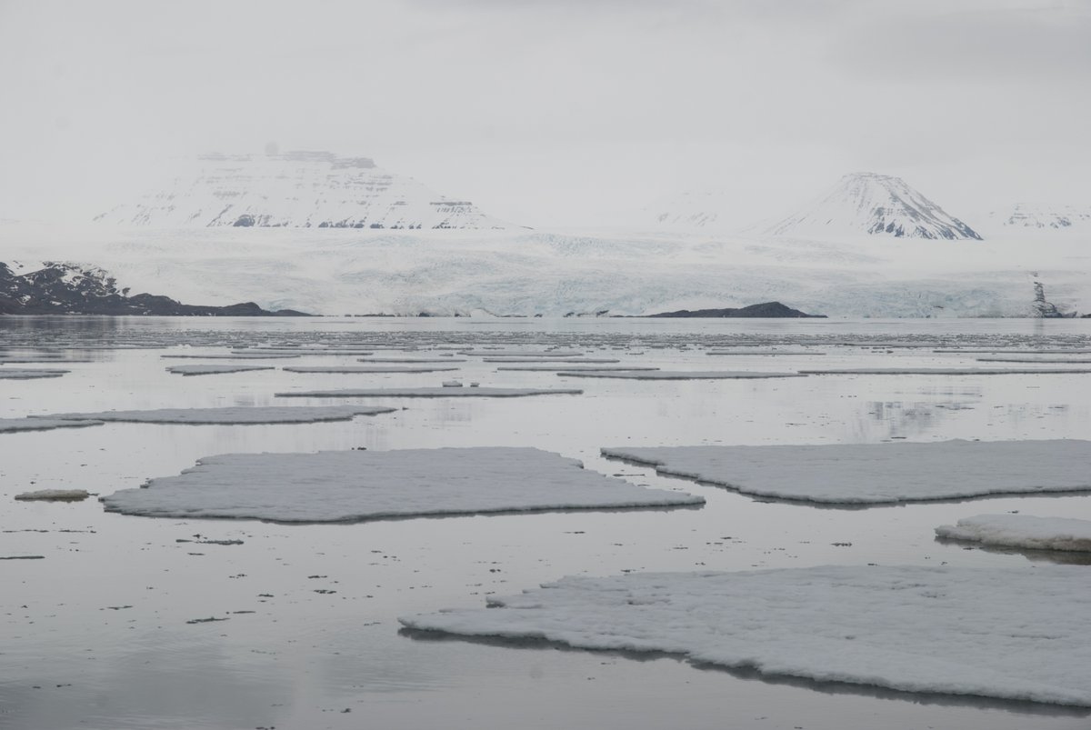 Meteorologisk's tweet photo. Europa varmes nå opp raskere enn noen annen verdensdel, viser ny rapport 🌡️🌍 Den globale oppvarmingen er koblet til stadig mindre sjøis i polarområdene, blant annet i Svalbard-regionen 👇
https://t.co/p5uJH5D8Ue

📸 Ketil Isaksen, MET https://t.co/XWdfpraS2h