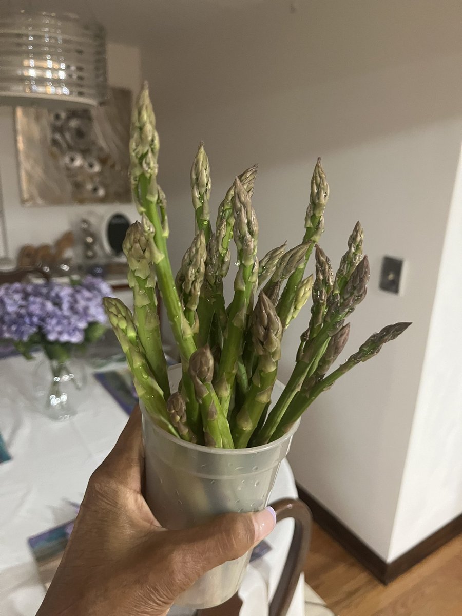 SnookMontgomery's tweet photo. GM. I was finally able to get outside this morning and much to my surprise, I was able to get a “mess” of asparagus from my garden. I think I will have some asparagus and eggs for breakfast 😃😃 https://t.co/fyx7z15qFX