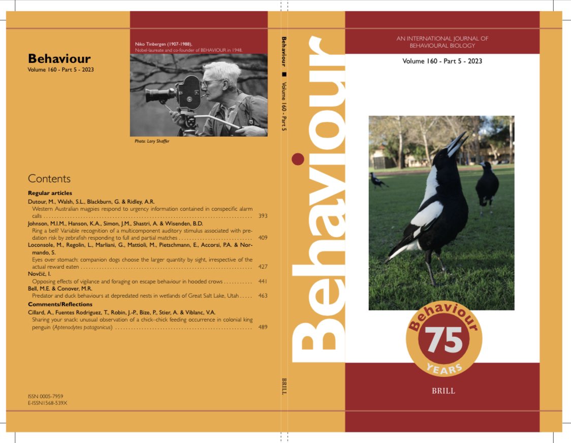 Amanda Ridley (@mandy_ridley) on Twitter photo Delighted that <a href="/DutourMylene/">Mylène Dutour</a>’s magpie paper made the front cover of Behaviour! <a href="/BiolSci_UWA/">School of Biological Sciences, UWA</a> @CEB_UWA <a href="/Sarah_LWalsh/">Sarah Walsh</a> <a href="/G_Blackburn_/">Grace Blackburn</a> Delighted that <a href="/DutourMylene/">Mylène Dutour</a>’s magpie paper made the front cover of Behaviour! <a href="/BiolSci_UWA/">School of Biological Sciences, UWA</a> @CEB_UWA <a href="/Sarah_LWalsh/">Sarah Walsh</a> <a href="/G_Blackburn_/">Grace Blackburn</a>