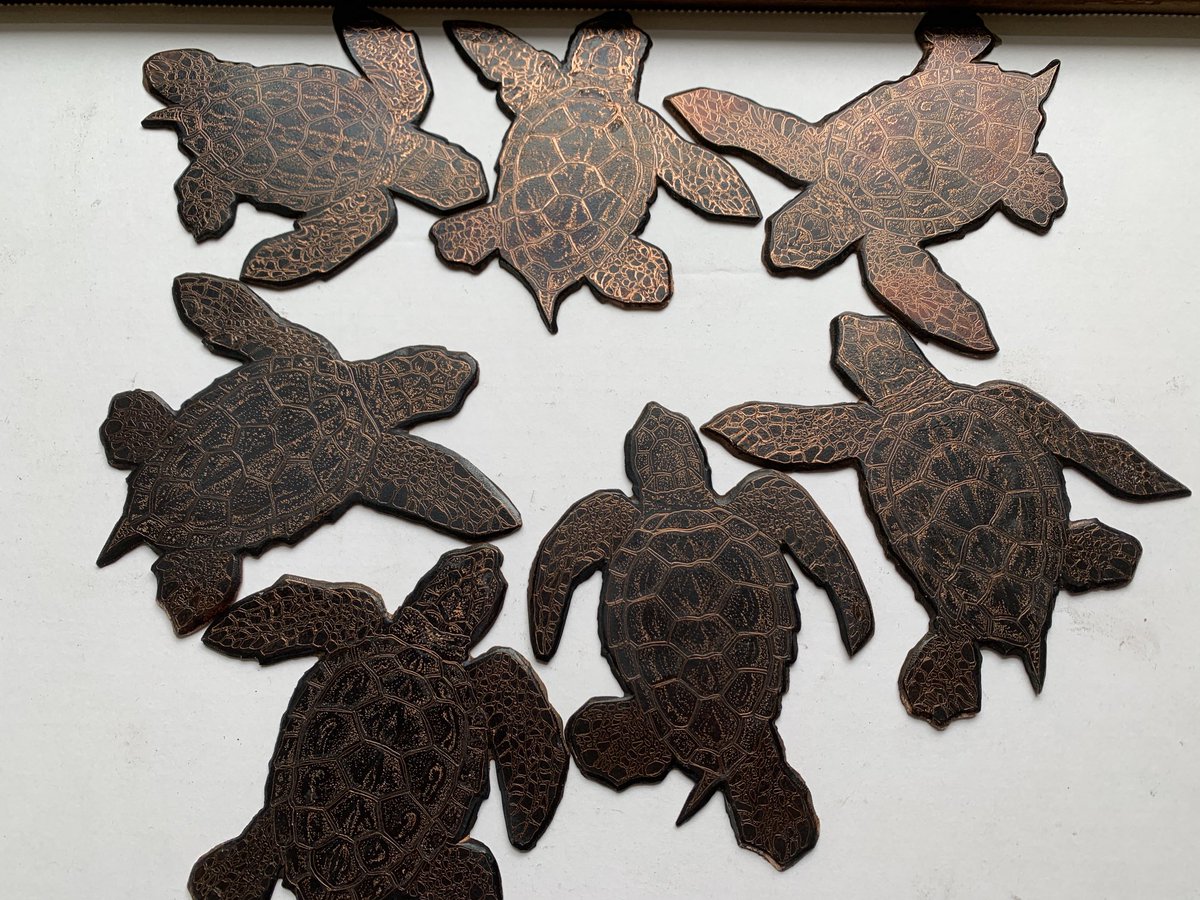 Debby_Mason's tweet photo. Seven baby Loggerhead copper plates, ready to etch. These will be printed all together with blind embossed tracks. #loggerheadturtles #plymouthseafest #etchings #marinelife https://t.co/cCjPmSGF3E