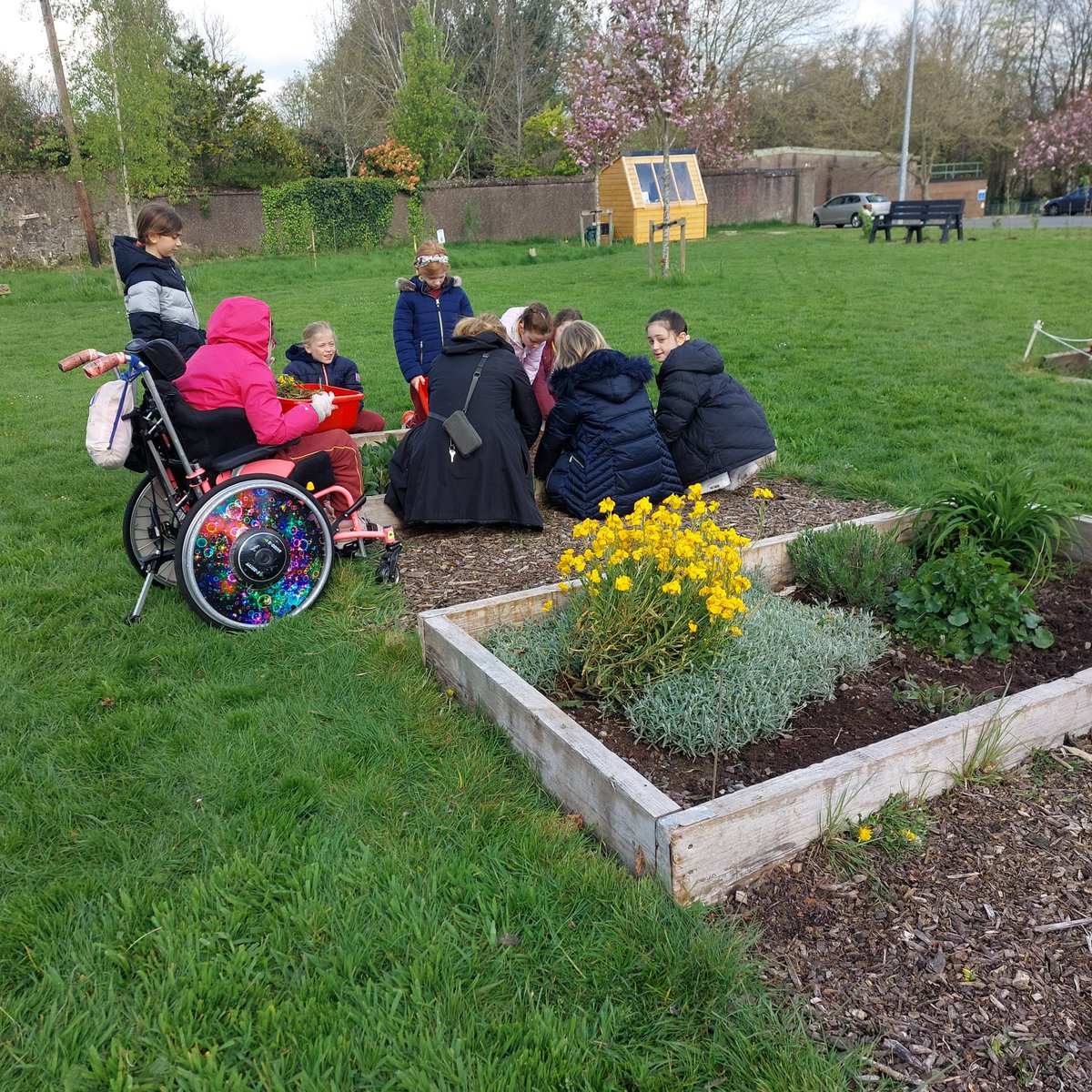 Our Lady of Lourdes NS tweet media