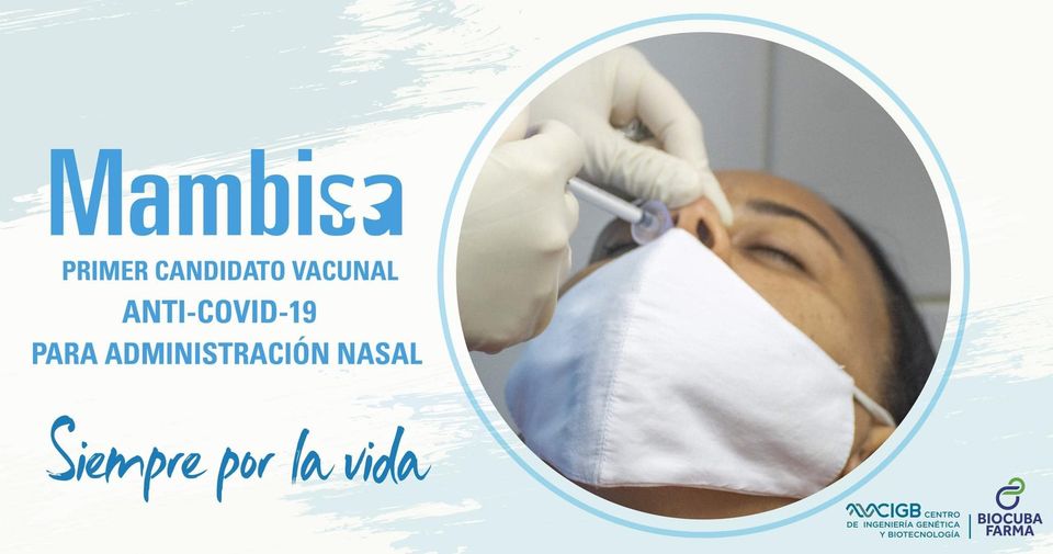 GobCamaguey's tweet photo. #Mambisa un candidato #vacunal contra la #COVID19 atractivo por las ventajas de su administración por vía #nasal, que no requiere necesariamente un personal sanitario calificado para su aplicación, y pudiera resultar de interés sobre todo como #refuerzo.(📷📷 CIGB) https://t.co/4OV9yMPbab