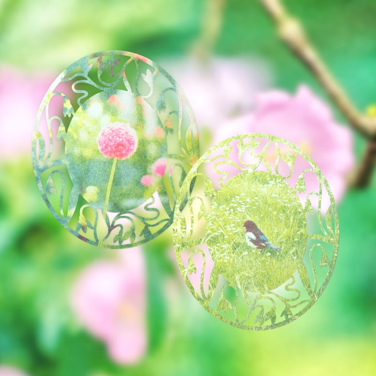 mima.🫧 tweet media