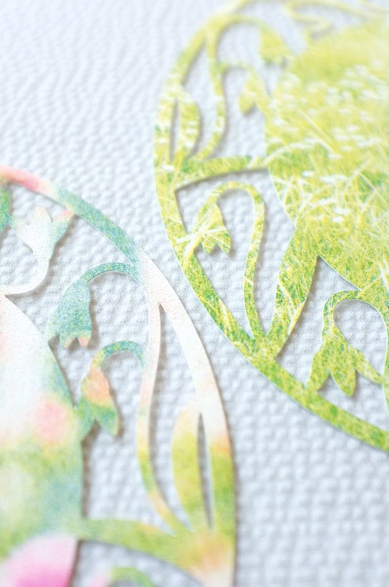 mima.🫧 tweet media