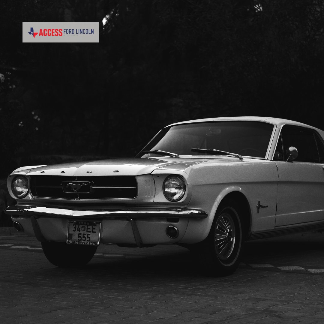 AccessFord's tweet photo. Rate this Ford 1-10👀

#Ford #Accessford #corpuschristi https://t.co/WAc5WRLWWE