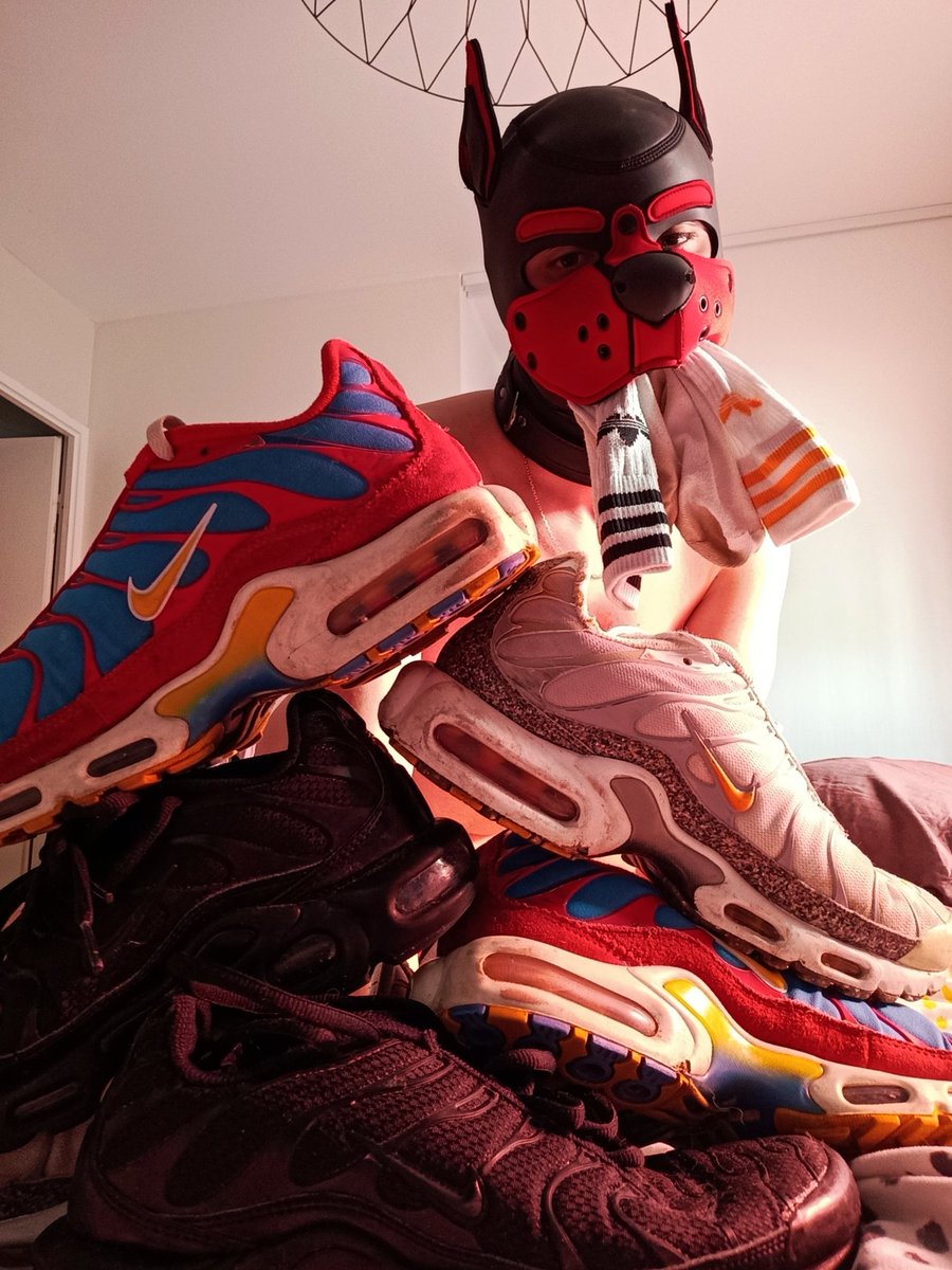 cokin 17 ➡️Darkland 2026 tweet media