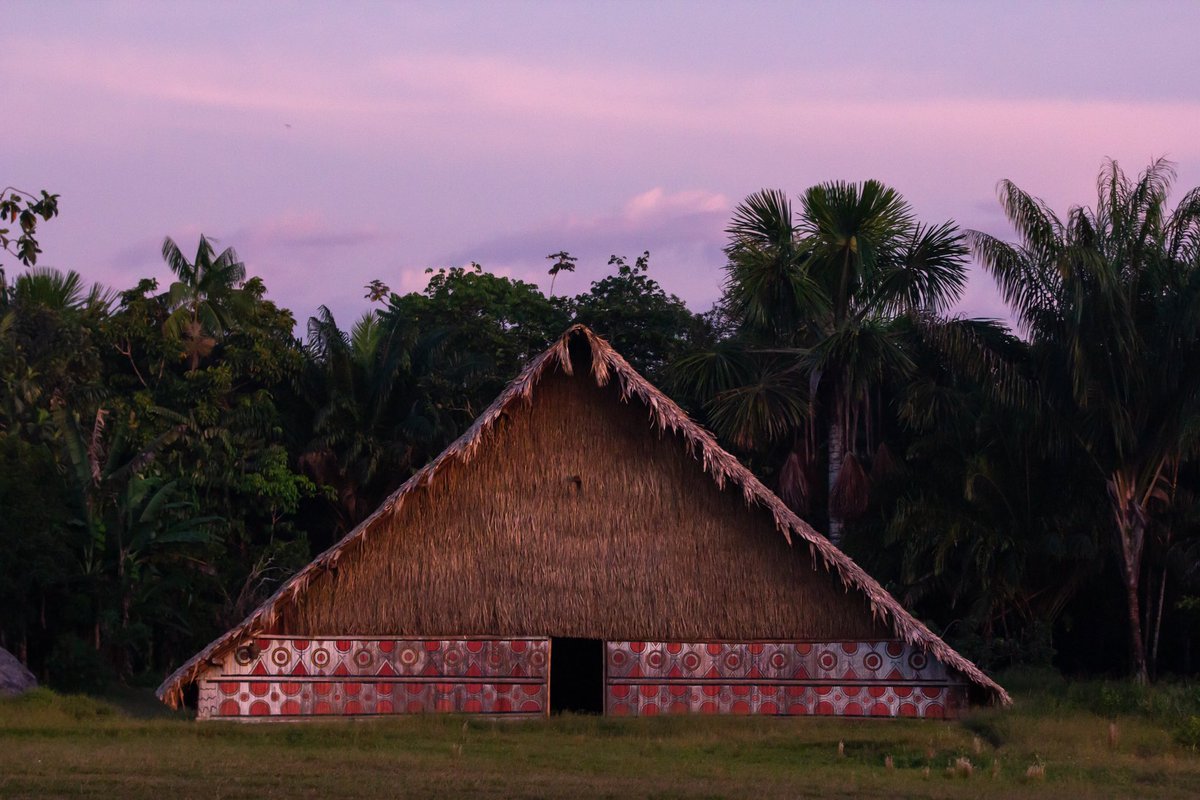 En los últimos días se ha generado un debate en Colombia sobre la idea de incluir los saberes ancestrales de los pueblos indígenas en la reforma de salud que se está debatiendo en el país. ¿Qué podemos aportar a la discusión? 🧵
