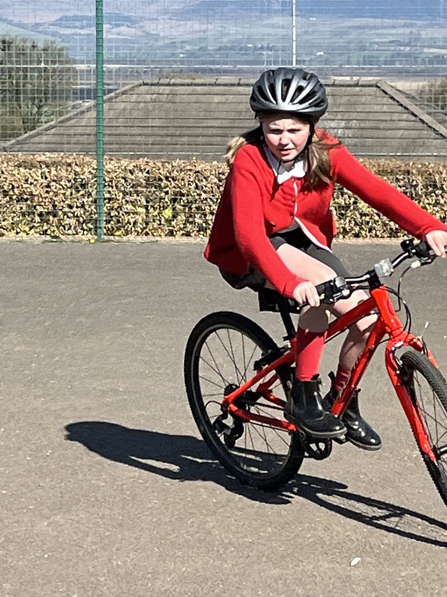 Kippen Primary tweet media