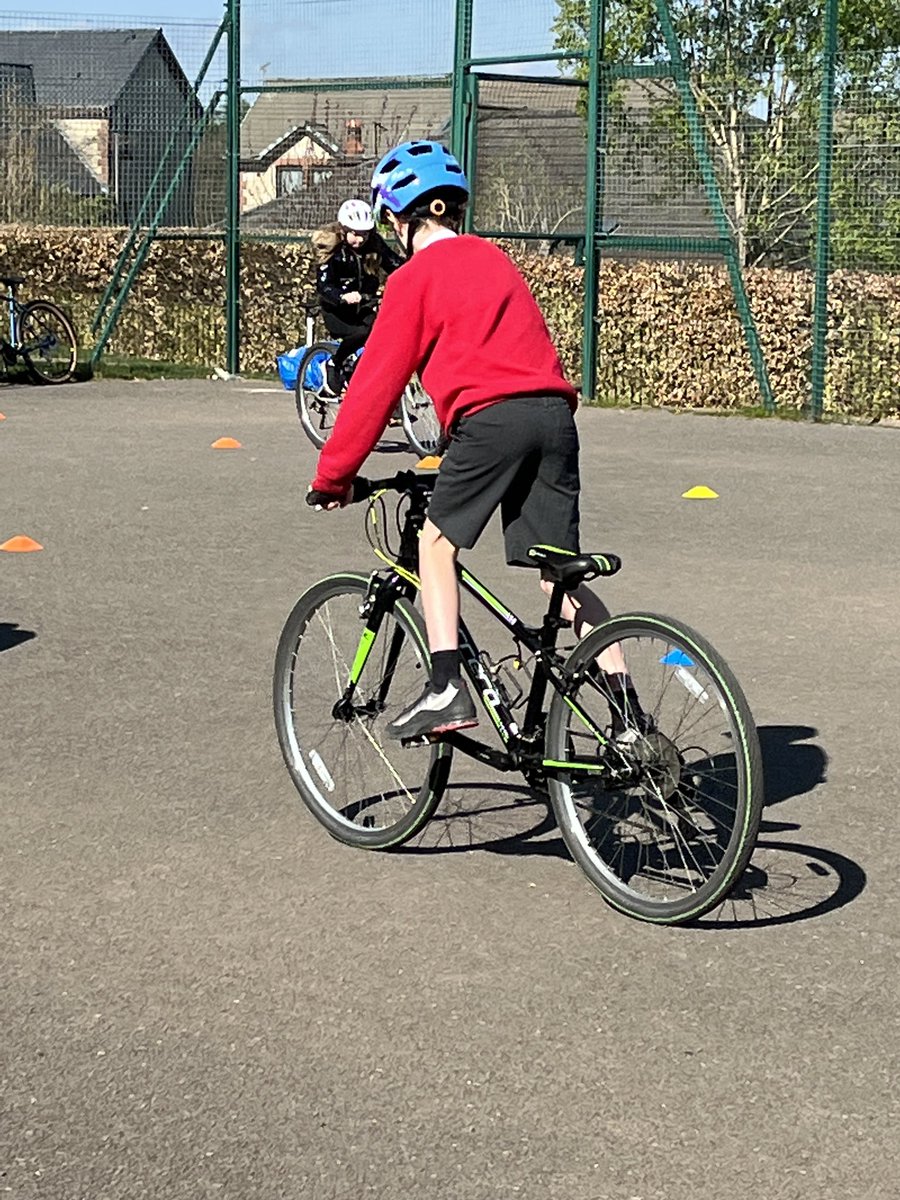 Kippen Primary tweet media