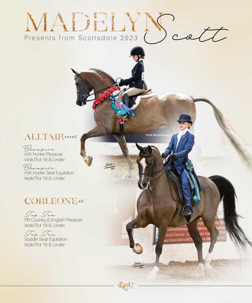 NH_Arabian's tweet photo. #nationalhorsemanarabian #scottsdale #madelynscott #reedtraining #hunterpleasure #countryenglishpleasure #equitation #arabianhorse https://t.co/emyc2NlrmJ